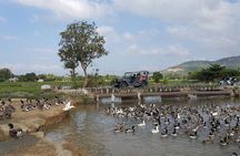 Nha trang Highlights