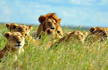 2 days Amboseli National Park Safari