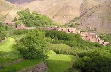 Berber life Cooking and Culture Experience