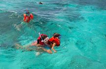  SoCoHo Full Day-Historic Sites-Mangrove Kayak & Reef Snorkeling