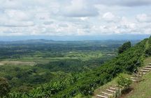 Coffee Tour, Sighting Pereira