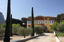 Cassis, Bandol and Le Castellet Wine tour