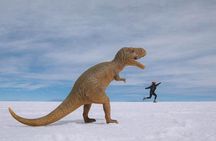 Uyuni Salt Flats day tour (4 Small Group)