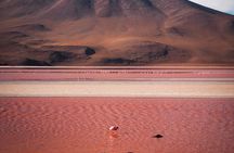 Uyuni Salt Flats Private 3 day tour (Palacio Sal 5* & Tayka 3* hotels) 