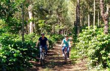Sip n' Cycle Coffee and Mountain Bike Tour