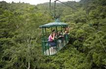 5 in 1 Adrenaline Junkie From Jaco
