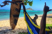 4 Hour Half Day Island Jeep Tour