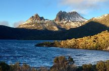 Cradle Mountain Half Day Dove Lake Guided Tour with Lunch