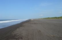 Guatemala San Jose Beach Private Tour