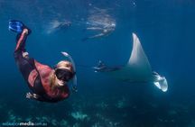Best of Ningaloo Mantas and More