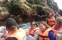  Ballestas Islands + Huacachina Tour From Lima (Private Group)
