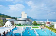 Kyushu Beppu Suginoi Onsen Tour