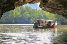 Mangrove Forest Tour In Langkawi