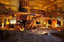 Salt Mine Tour and Krakow City Tour in one day