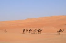 Liwa Over night Camping - The Empty Quarter Dunes (Tel Moreeb) with Meals 