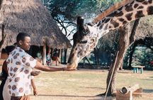 7 Days Kenya Luxury Safaris - Masai Mara NR, Amboseli NP and Lake Nakuru NP