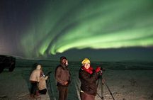 Northern Lights and Stargazing Small-Group Tour with Local Guide