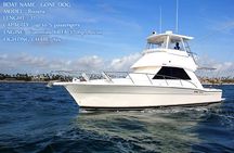 Punta Cana Offshore Deep Sea Fishing Charter