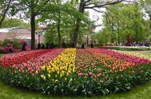  Keukenhof Tulips and Zaanse Schans Windmills Private Day Tour