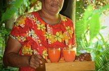 Nadi Therapeutic Mud Pools and Garden Tour - Shore Excursions EX PORT DENARAU