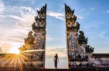  Bali Royal palaces (observe tour)
