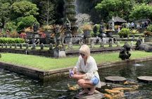  Bali Royal palaces (observe tour)