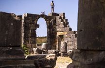 Private Day Trip to Volubilis Meknes and Moulay Driss From Fez
