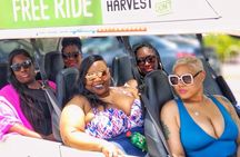 Discover South Beach Golf Cart Tour 