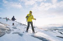 Half Day Snowshoe Tour