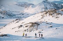 Half Day Snowshoe Tour