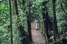 Sky Walk with Tour Guide From Arenal