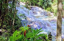 Private Ocho Rios highlight tour