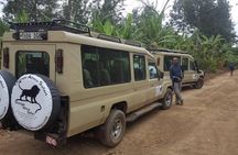 7-Day Safari (Including Serengeti) & Zanzibar Extension
