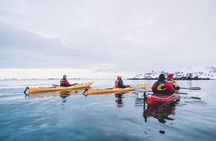 Winter Half Day Kayak Tour