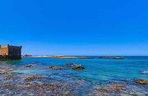 From Agadir: day trip to Eassaouira