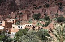 From Agadir goats to the tree tour (land & people)