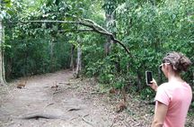 Yaxha VIP All-Inclusive Private Tour from Flores Guatemala 