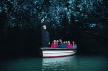 Private Tour From Auckland to Rotorua & Waitomo Glowworm Caves, Small group