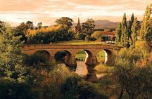 Shore Excursion: Hobart Highlights Day Tour