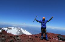 Llaima Volcano Ascent
