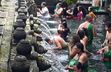 Skip the Line Tirta Empul Temple Entrance Ticket All Inclusive