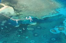 40-Minute Great Barrier Reef Scenic Flight from Cairns
