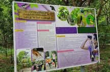 Lost in Bangkok : Green Lung Jungle Bicycle Ride with Lunch
