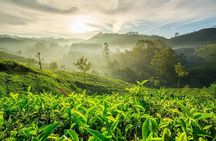 9 Days Private Exotic Kerala Tour
