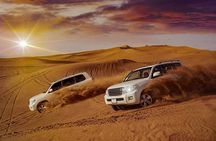 Evening Desert Safari with Belly Dance and BBQ Dinner and Camel Ride