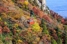 Mt. Gozaisho Ropeway,Nabana no Sato for Illumination and Begonia Garden!