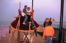 Camel Ride in Desert with Dune Bashing, BBQ Dinner and Belly Dance