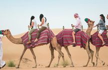 Private Desert Safari Dubai with BBQ Dinner and Belly Dance 