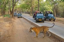 4 Days Golden Triangle Tour with Ranthambore Tigers Safari