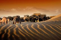 Bab al Shams Dinner with Desert Safari